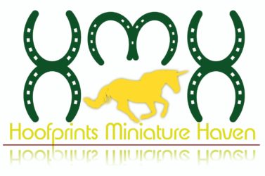 Hoofprints miniature haven