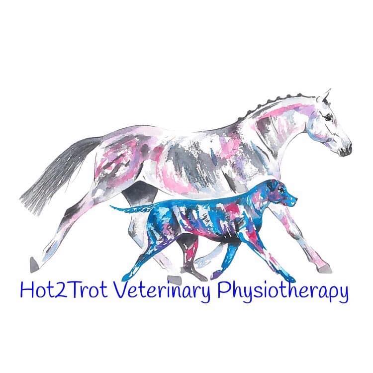 Hot2Trot Veterinary Physiotherapy