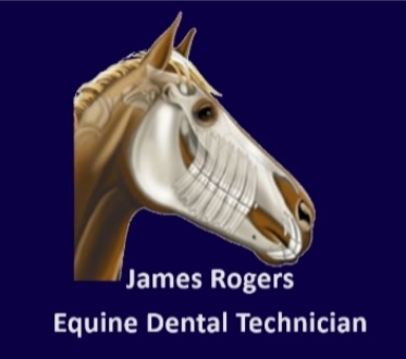 James Rogers Equine dental technician