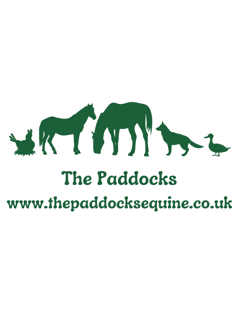 The paddocks Equine