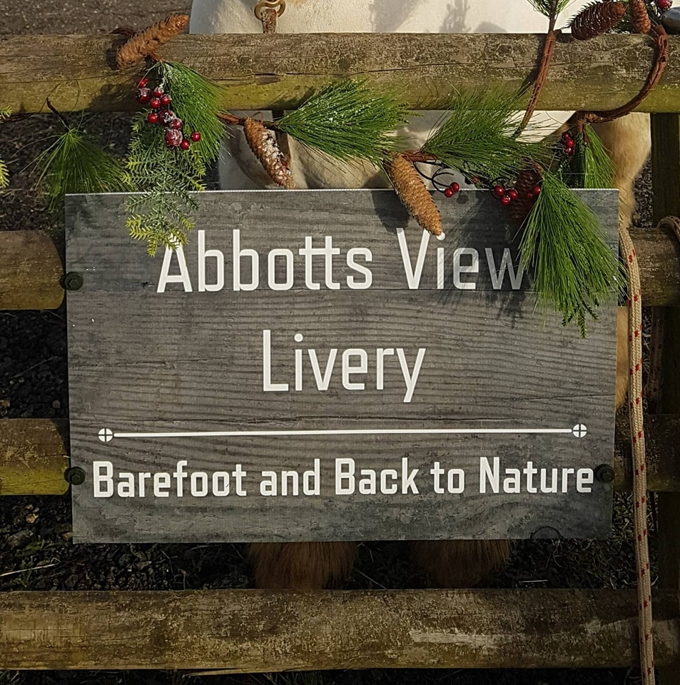 abbotts view