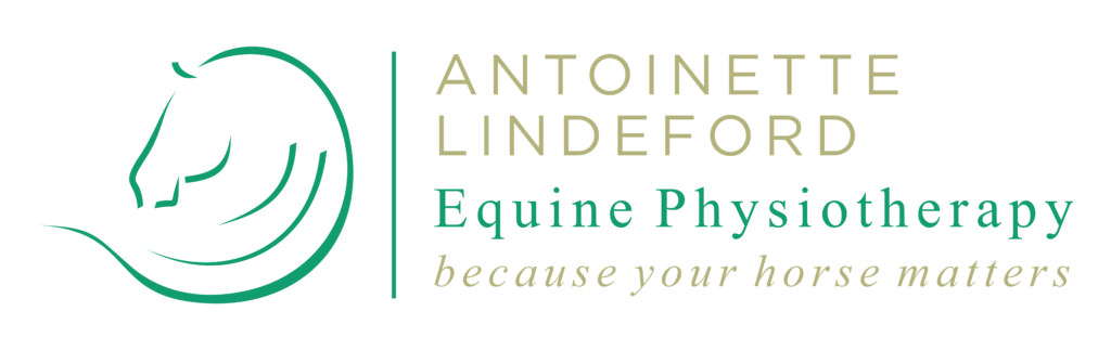 Antoinette LindeFord Equine Physiotherapy