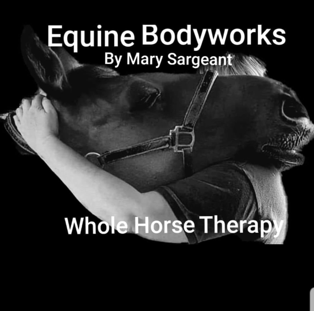 Equine Bodyworks By Mary Sargeant