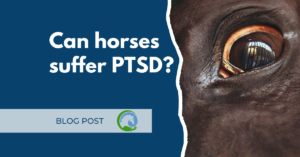 equine ptsd blog post title and image of horse eye