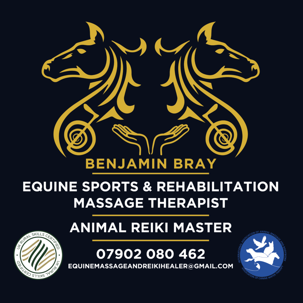 Benjamin Bray Equine Sports & Rehabilitation Massage Therapist/ Animal Reiki Master