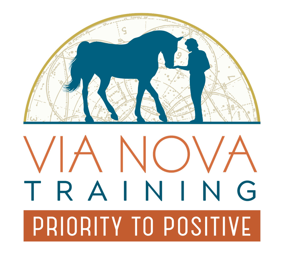 Via Nova Training, LLC