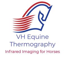VH Equine Thermography
