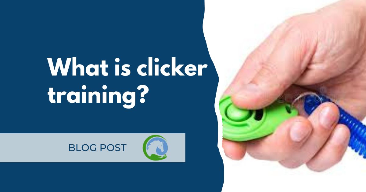 Does Clicker Training Lead to Faster Acquisition of Behavior for