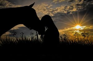 The Time for Compassion: Honouring Horses as Sentient Beings is the title of this image. The image is f a horse and a girl with her fore head reasting on the horses head. the seen is at sunset and the horse and girl are as a silhouette. 