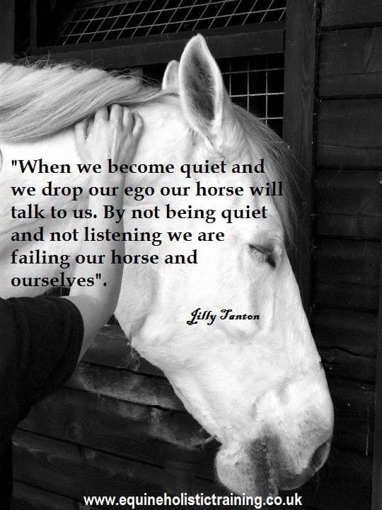 Jilly Craig – Equine Holistic Therapy
