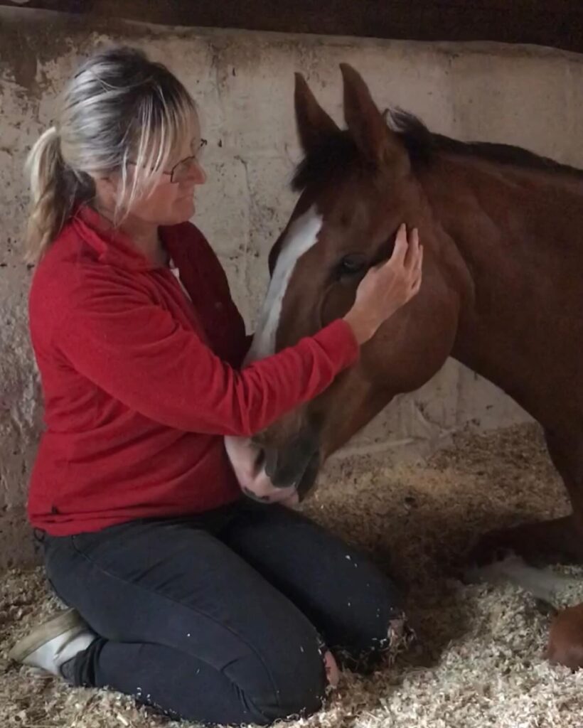 Back2Balance Equine Therapy